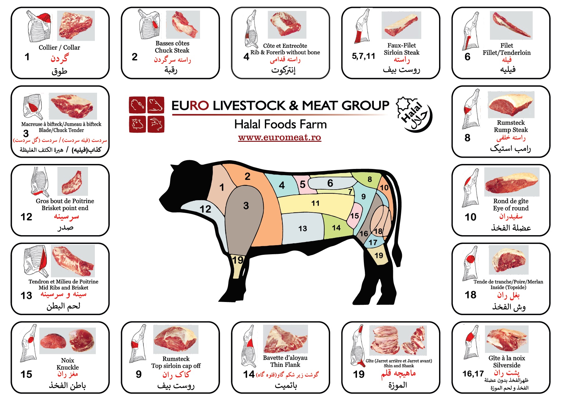 wholesale beef meat Distributor and Supplier